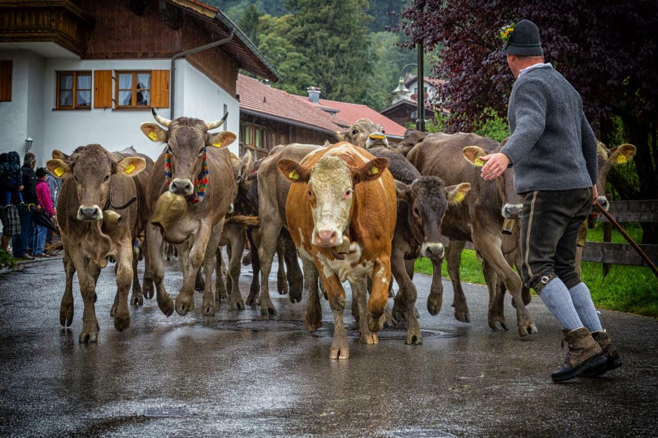 Ferienwohnung Zobl Füssen Dış mekan fotoğraf